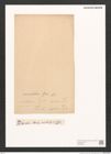Pleurosigma sp. (de-Toni-Nr.: Genus 13) Zeichnungen Sammlung Grunow (NHMW-BOT-W0369251)